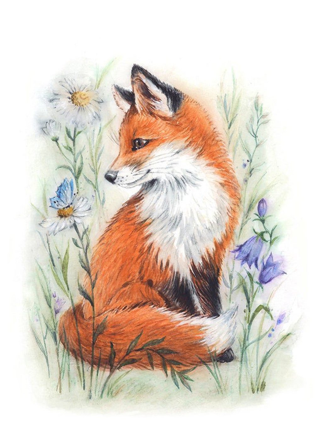 Лисичка акварель