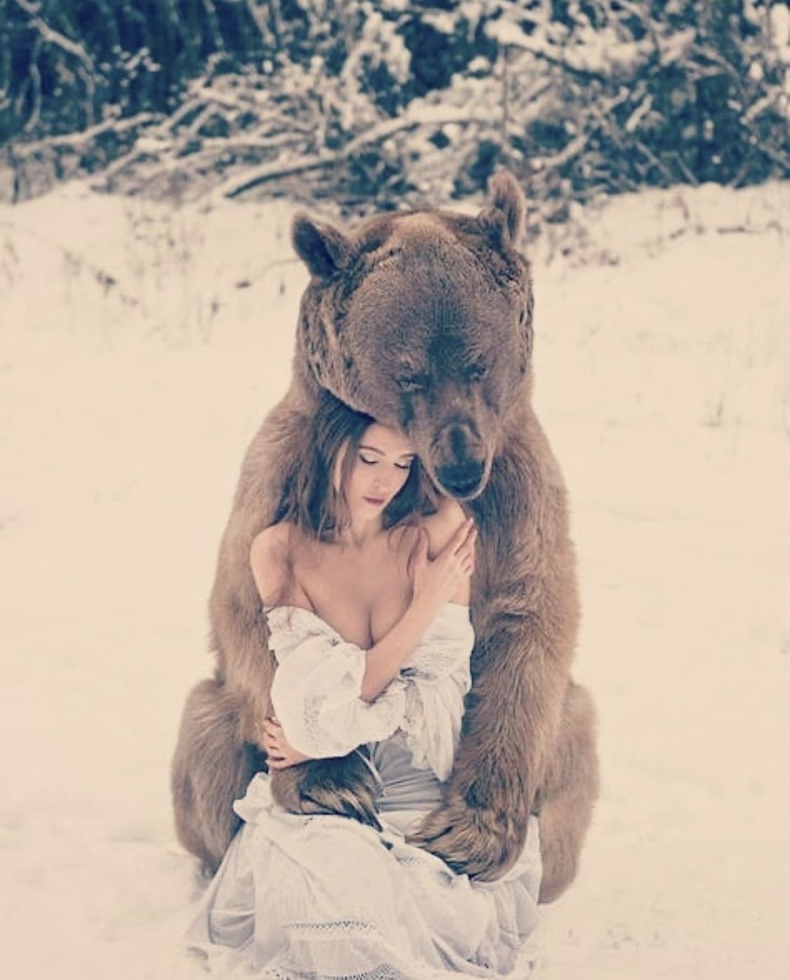 Медведь Степан Пантелеенко