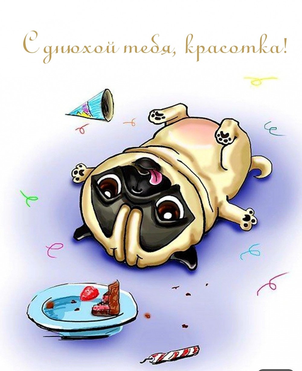 С днём рождения смешные