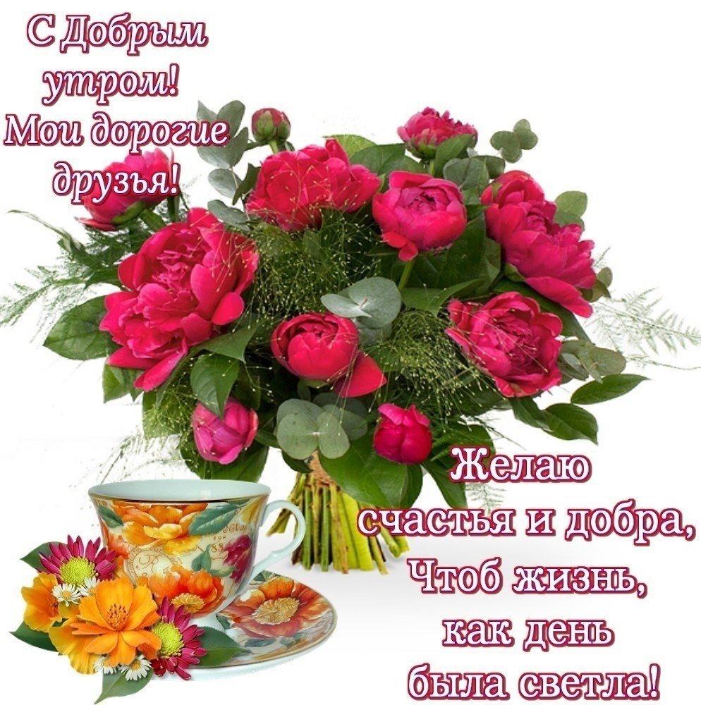 Красивые цветы с пожеланиями доброго утра и дня