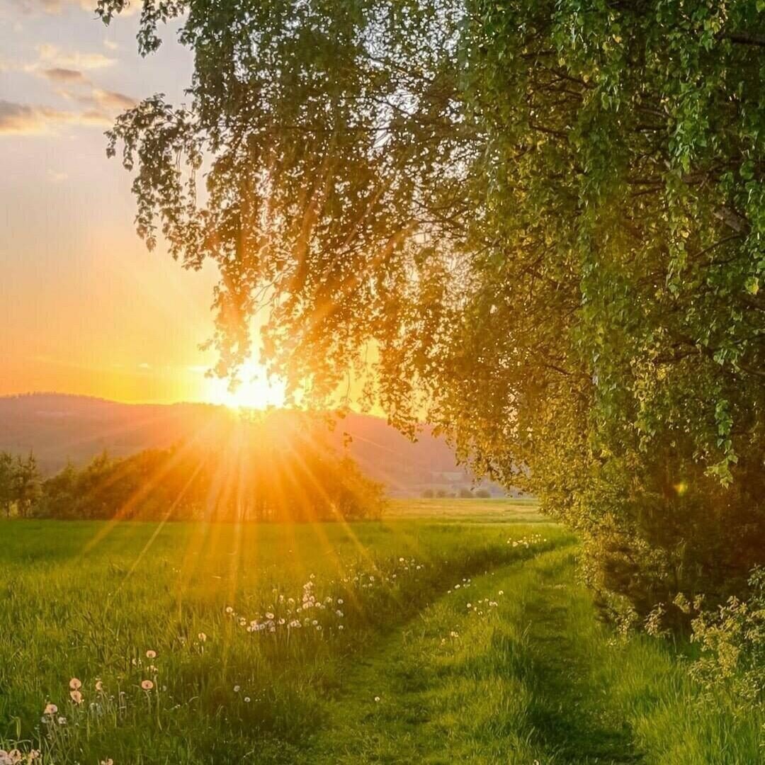 Природа солнце