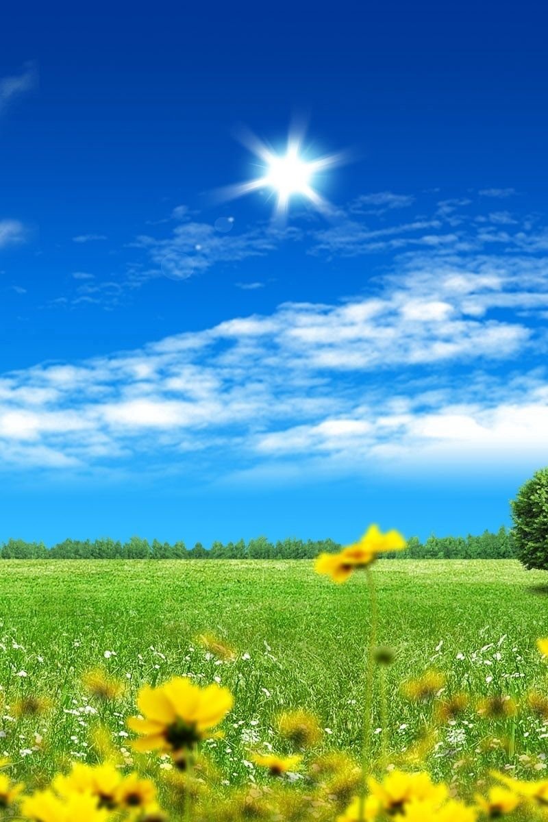 Природа солнце