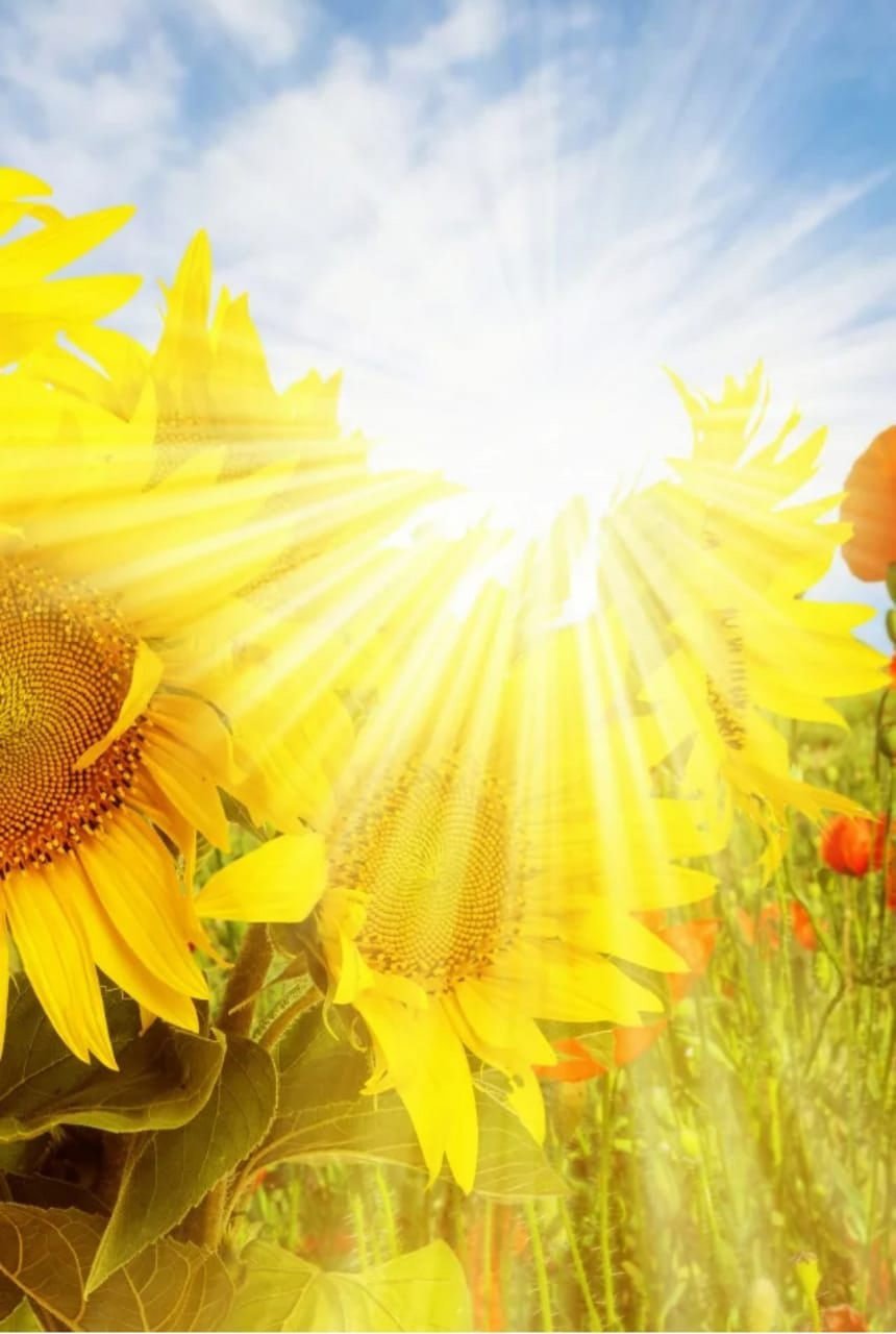 Летнее небо