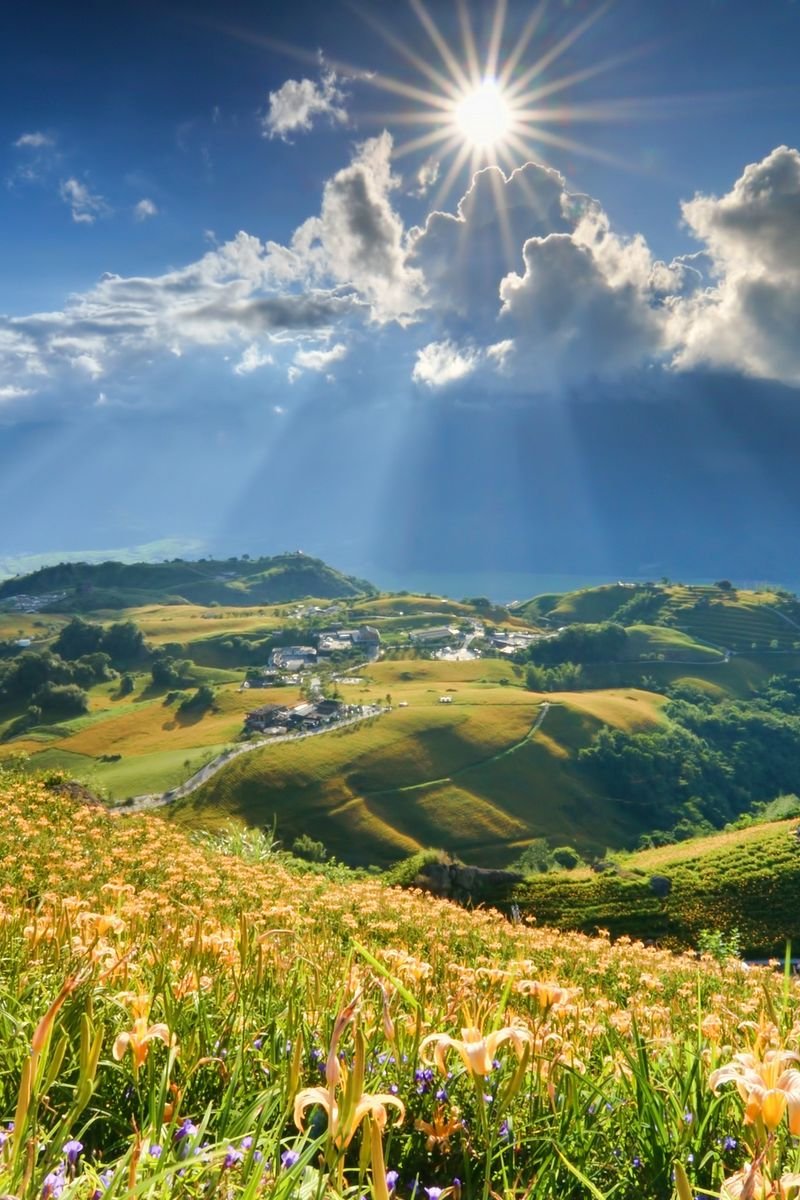 Солнечный летний день