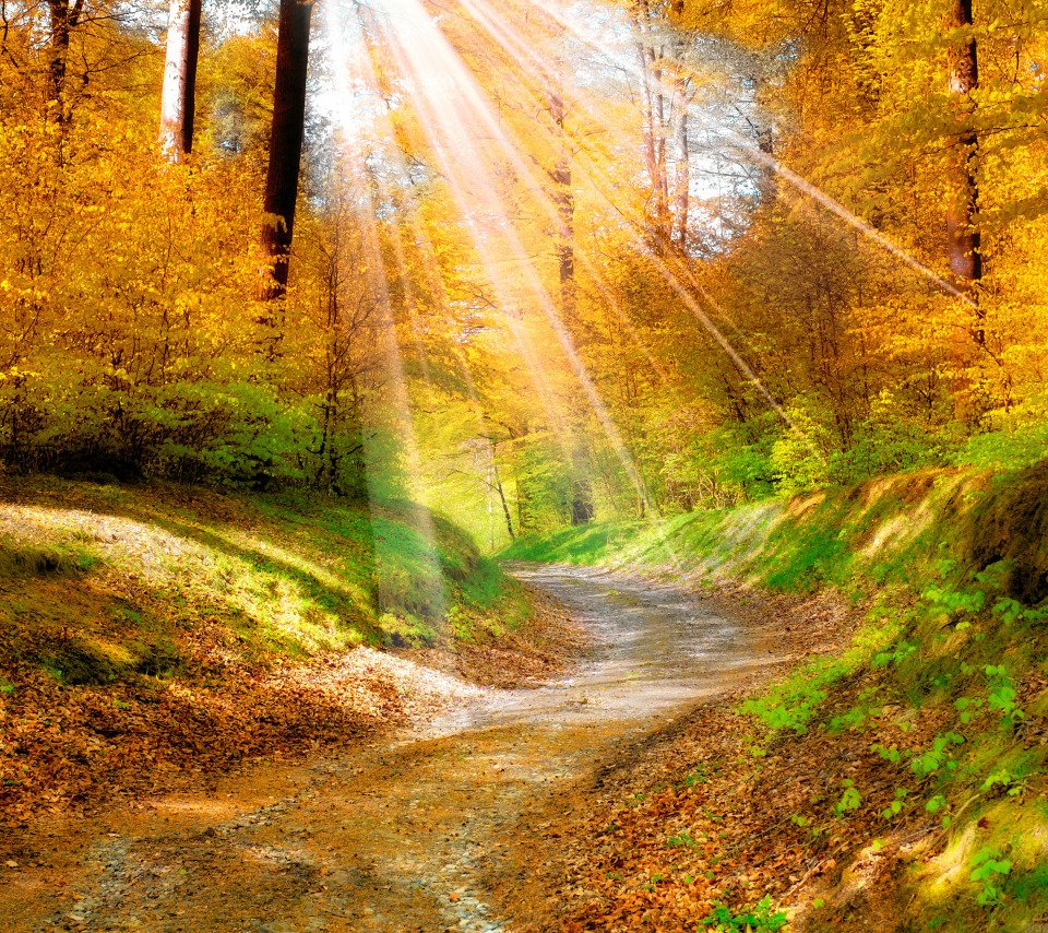 Небо солнце