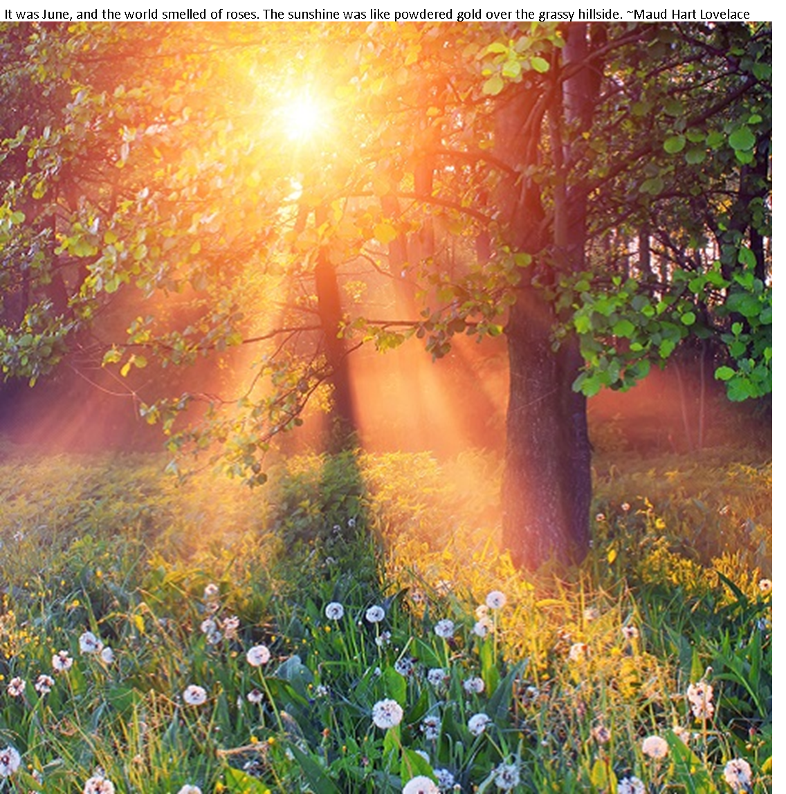 Утро солнце