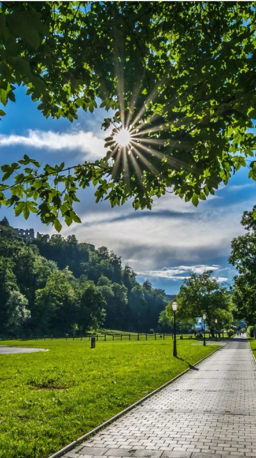 Солнце осенью