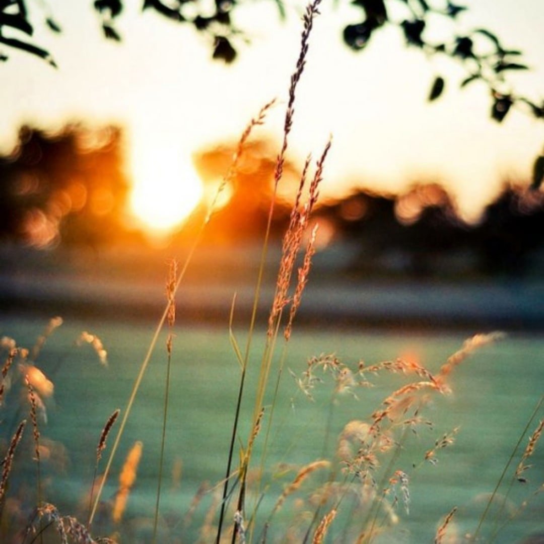 Осенний закат