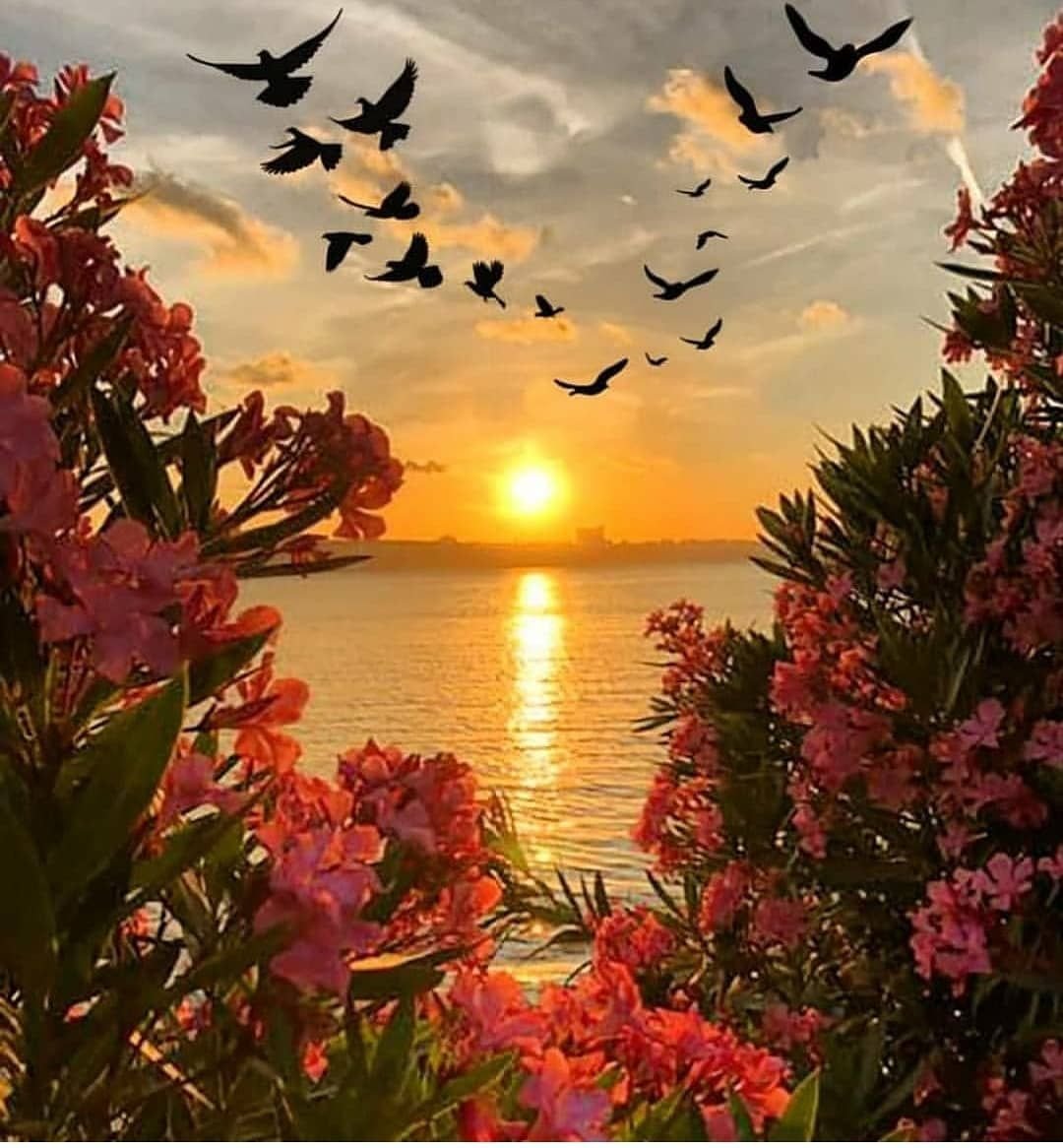 Красивые мыльные пузыри