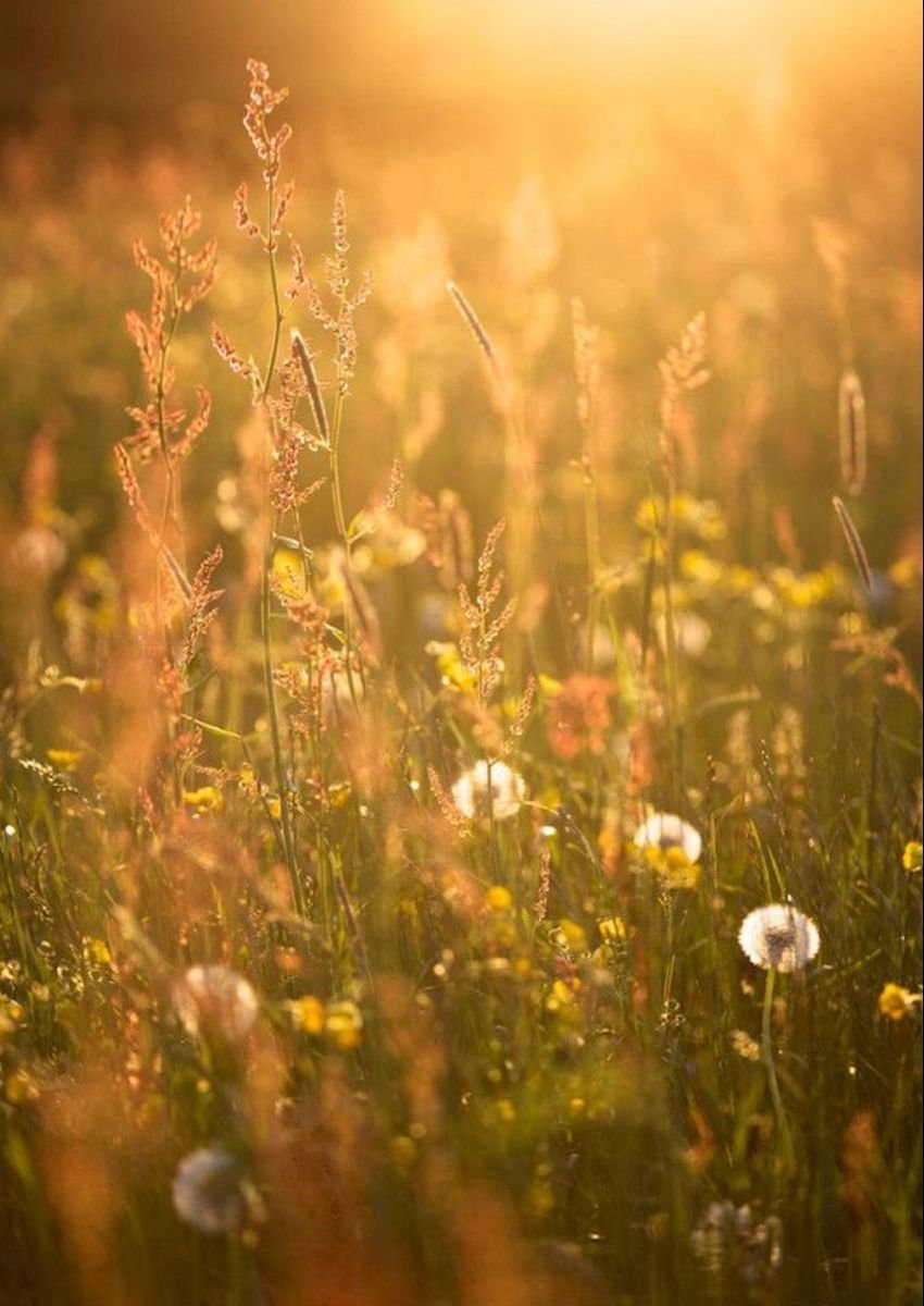 Природа весной