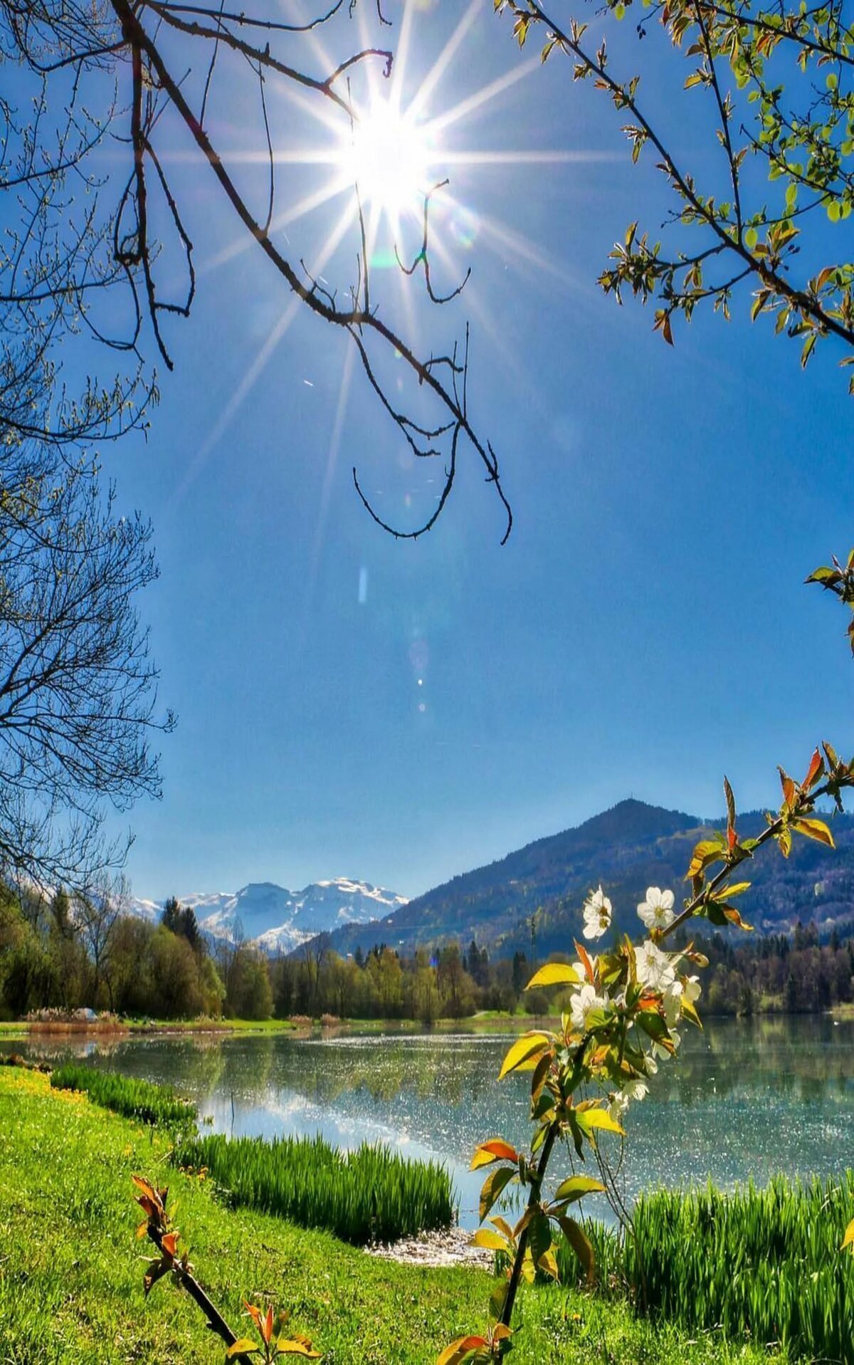 Нежный пейзаж