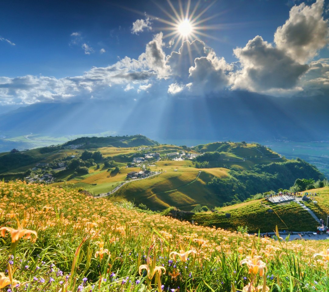 Яркое солнце