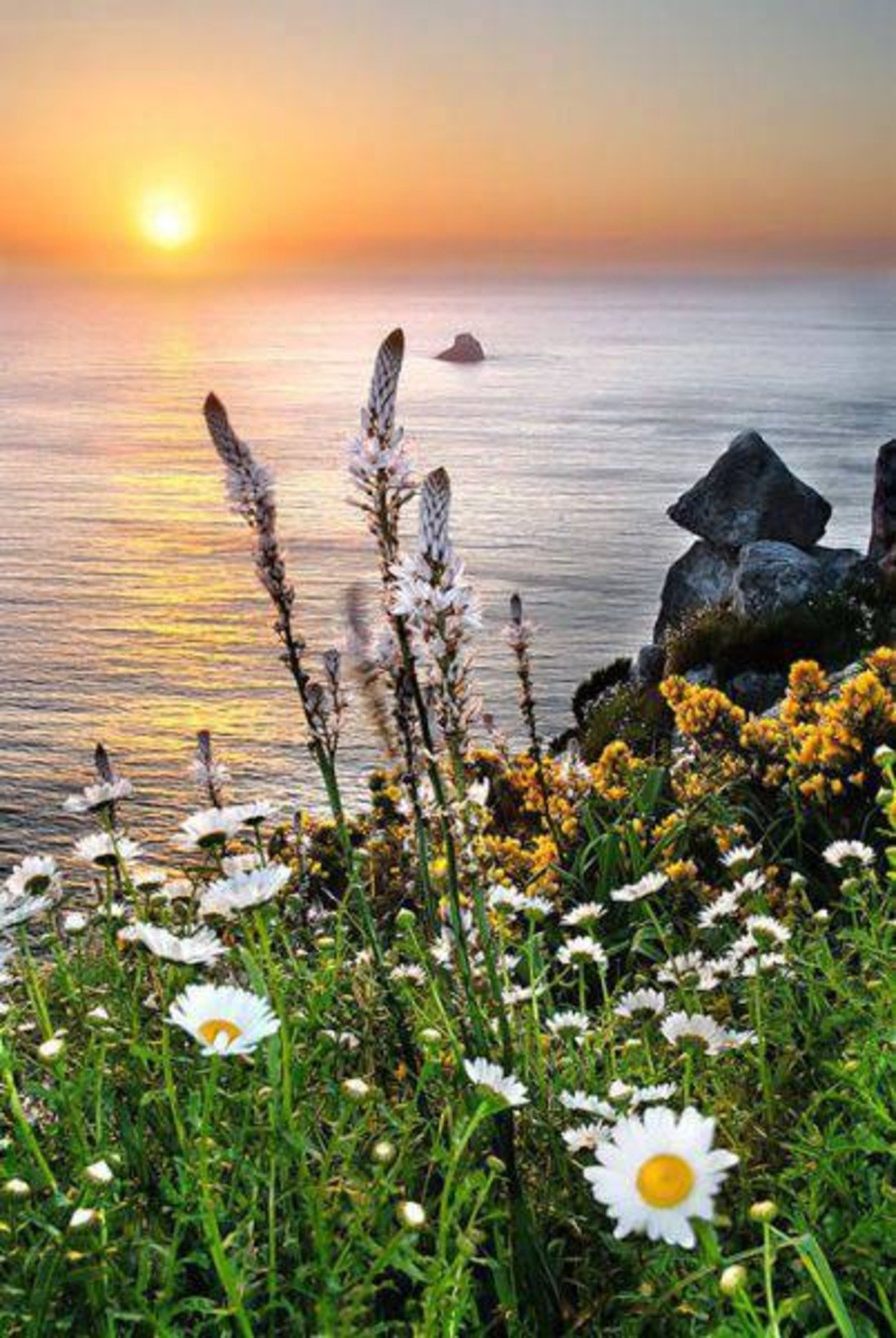 Небо солнце