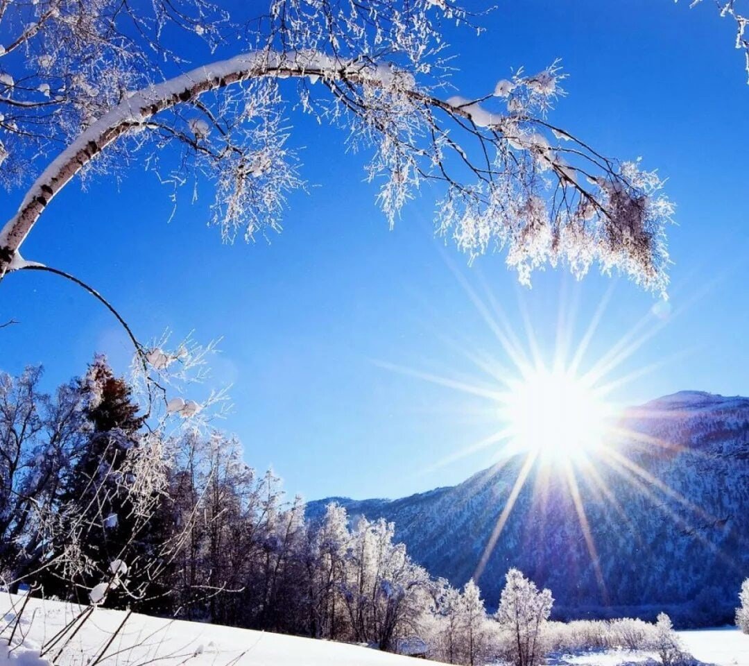 Красивые летние пейзажи