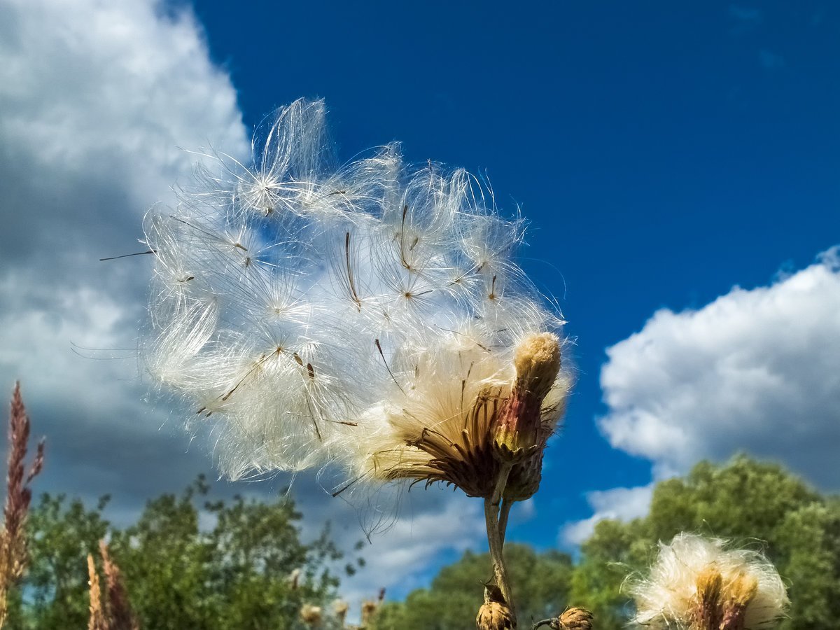 Красивый ветер
