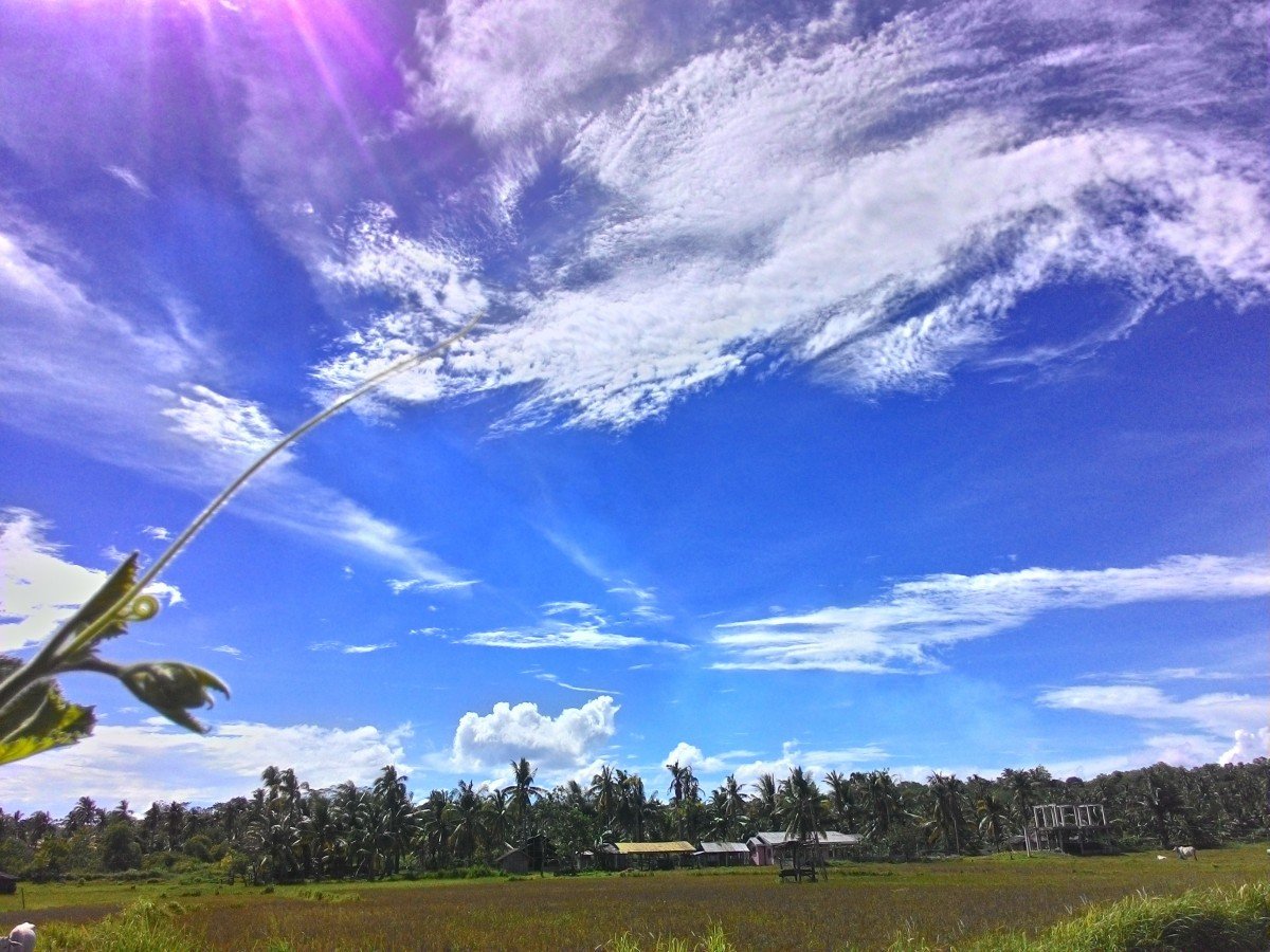 Ветер картинка