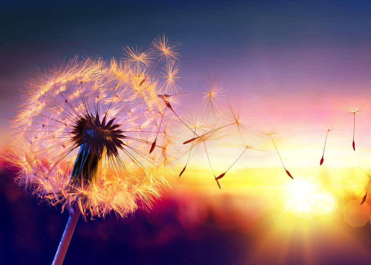 Ветерки для детей