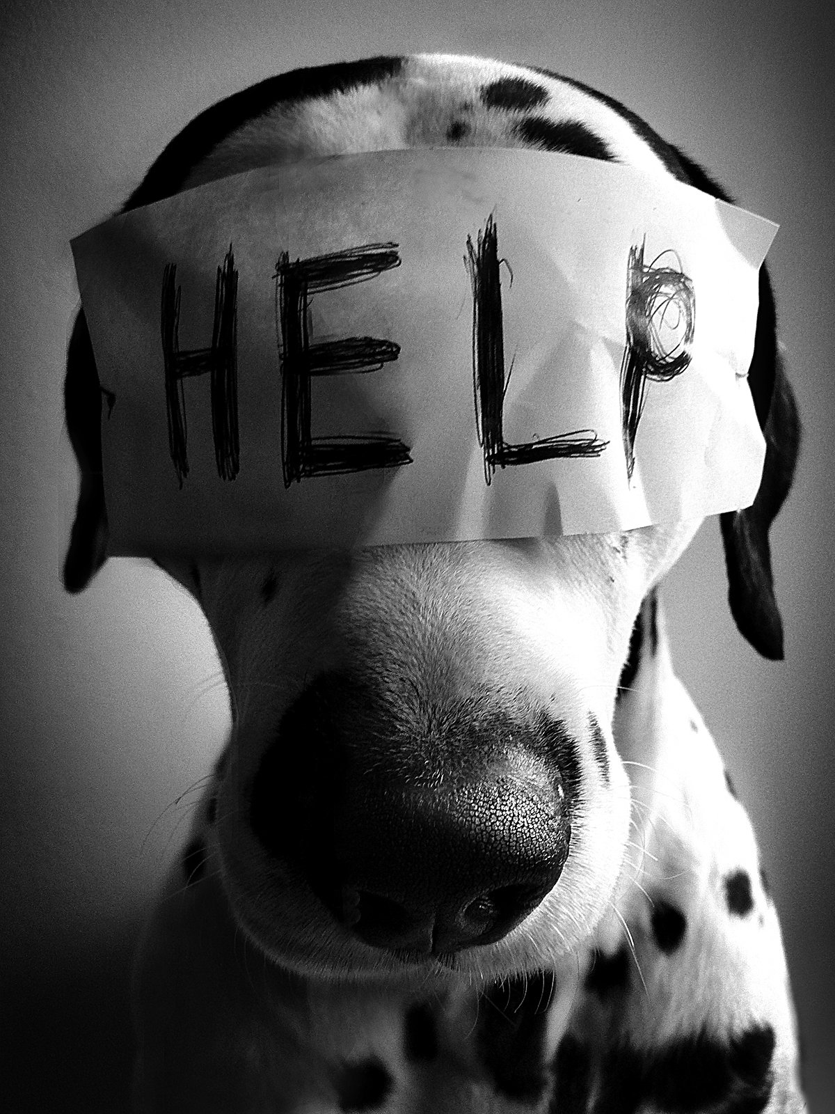 Обои с надписью помогите