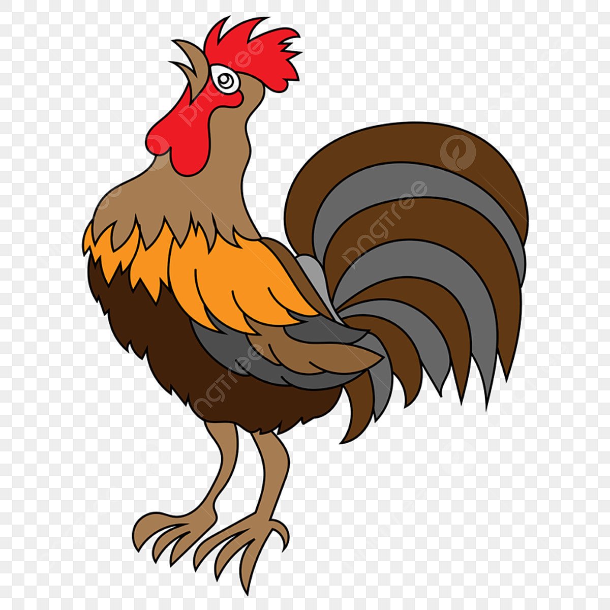 Петух картинка