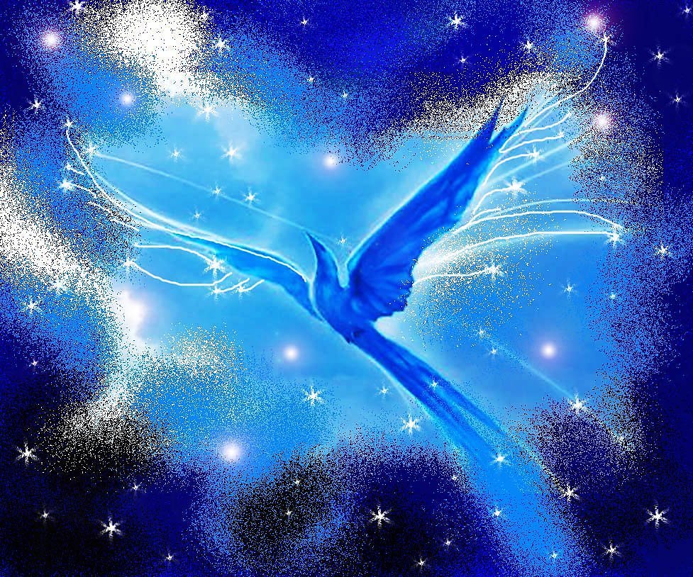 Птица удачи