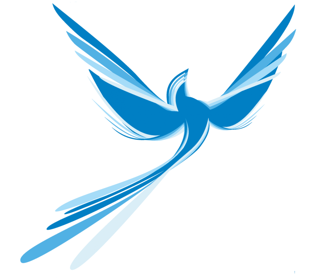 Кустарниковая Сойка синяя птица счастья