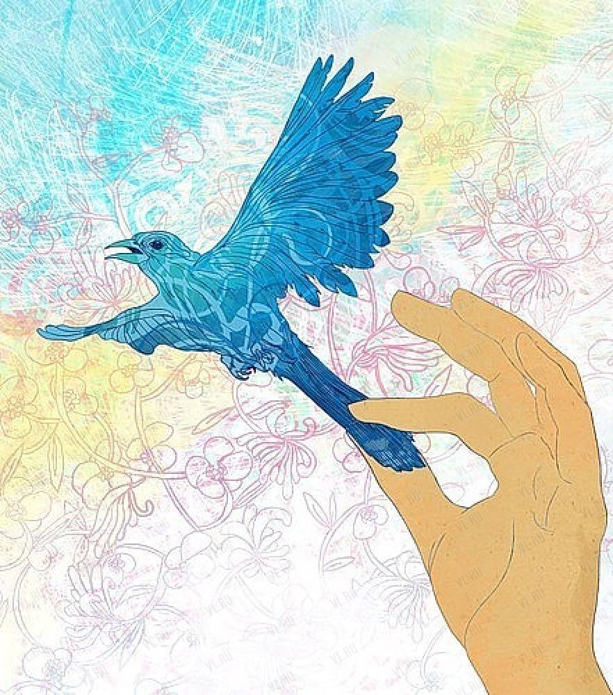 Грандала Лазоревая птичка