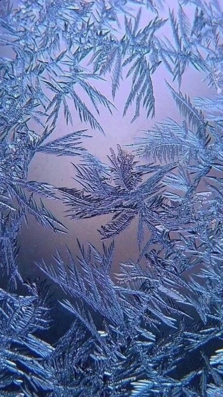 Морозные узоры на стекле