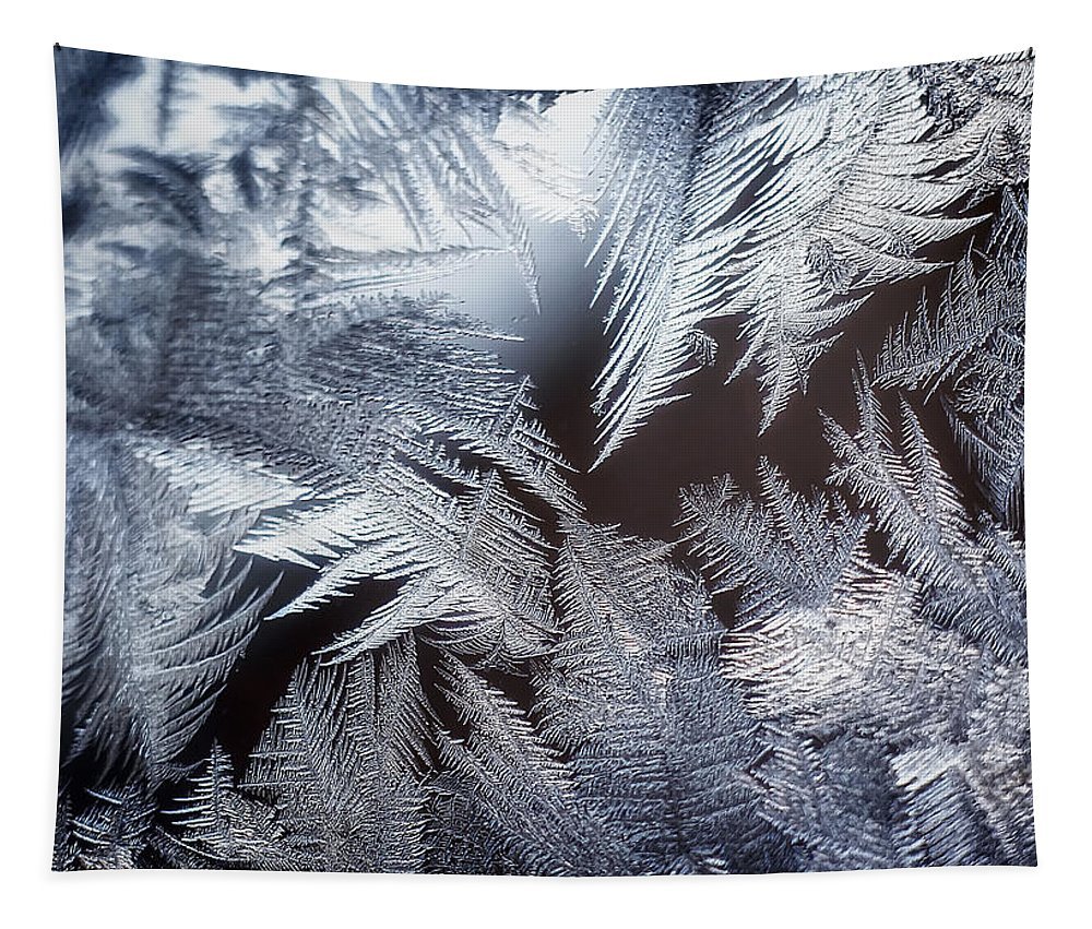 Морозные кружева