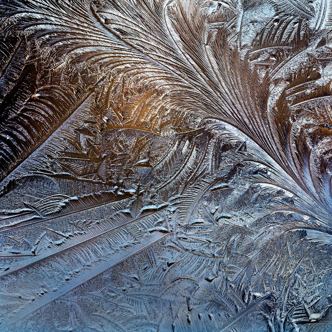 Мороз на окне