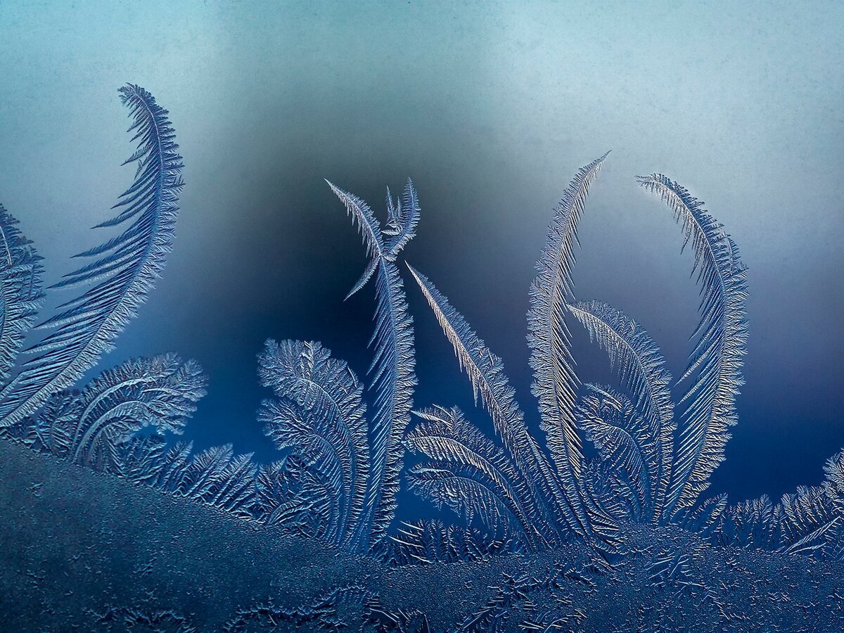 Морозные узоры