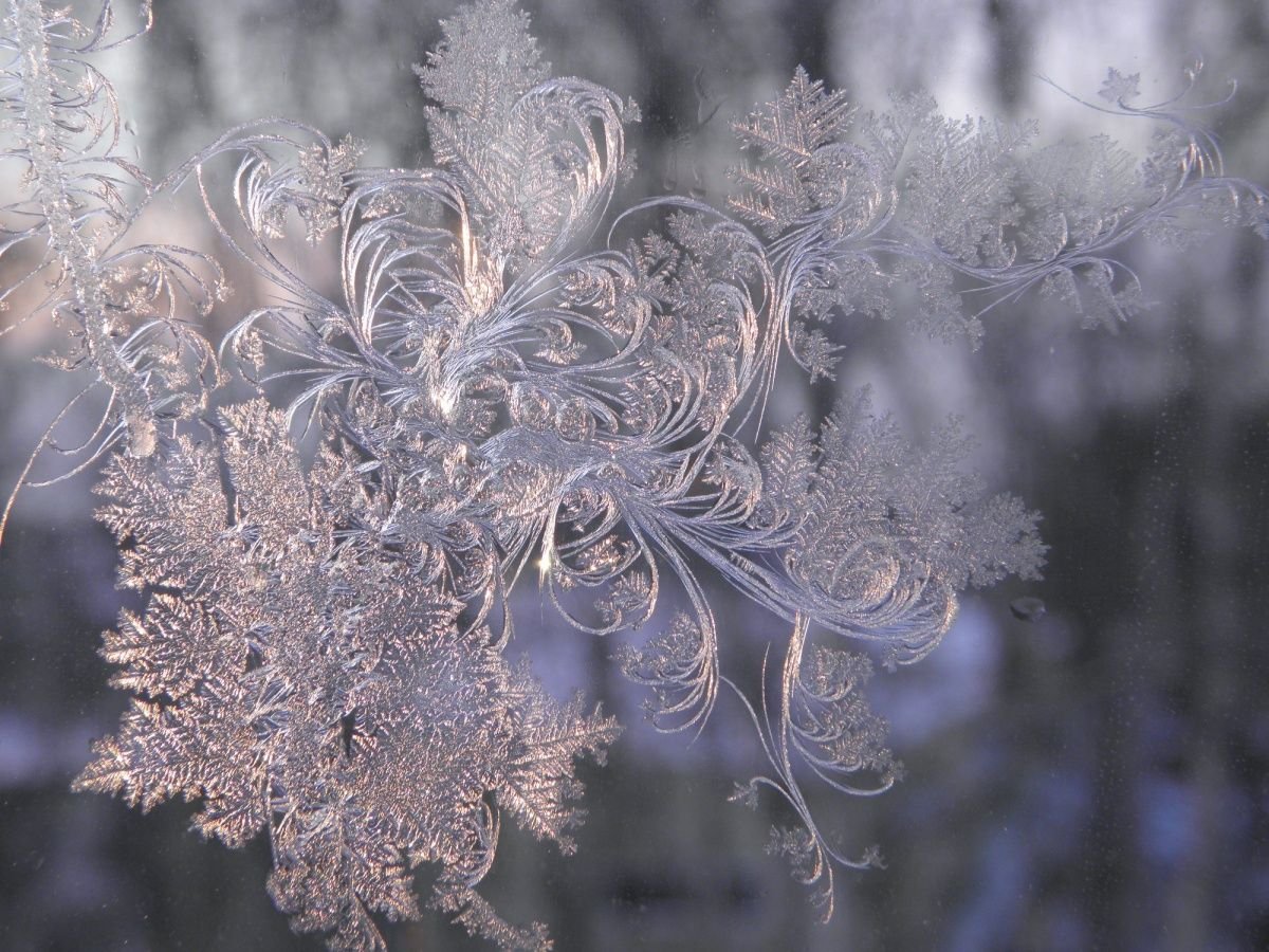 Морозное окно