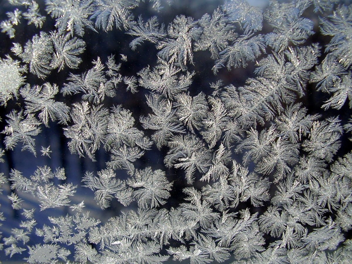 Морозные узоры