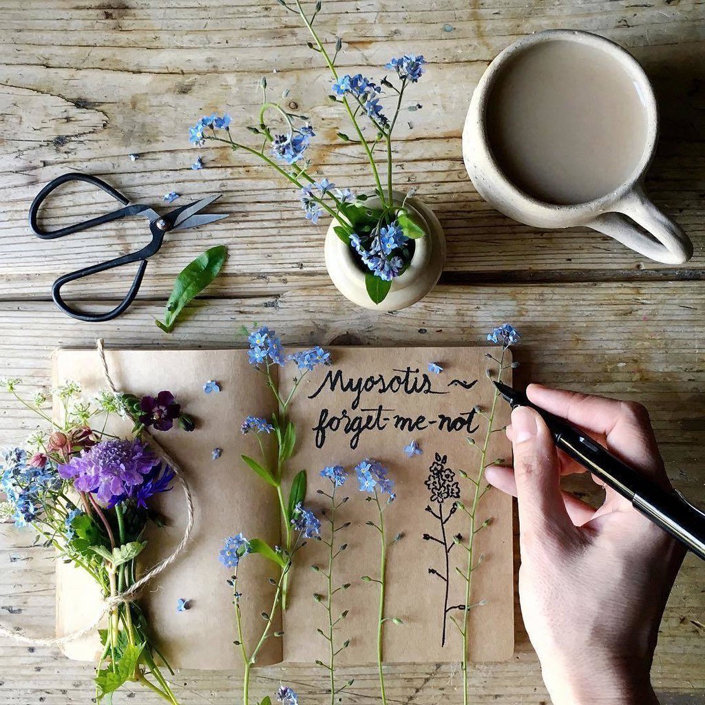 Ноутбук на берегу моря