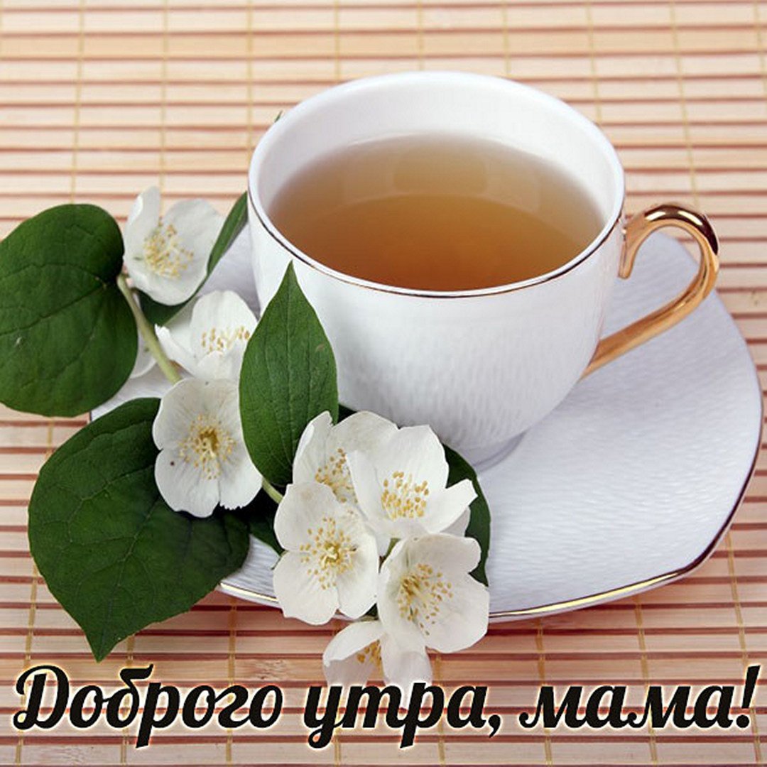 Завтрак вид сверху