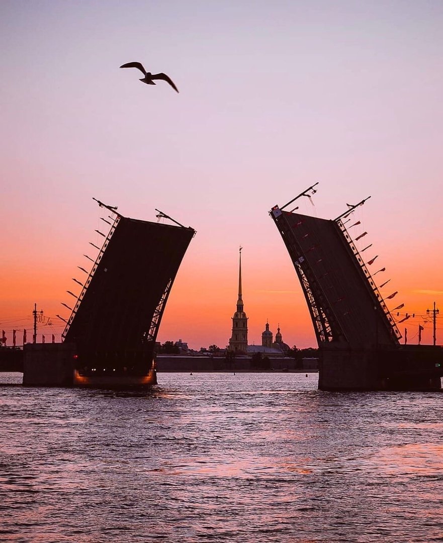 Дворцовый мост в Санкт-Петербурге