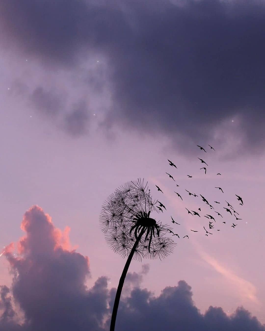 Птица в Ясном небе