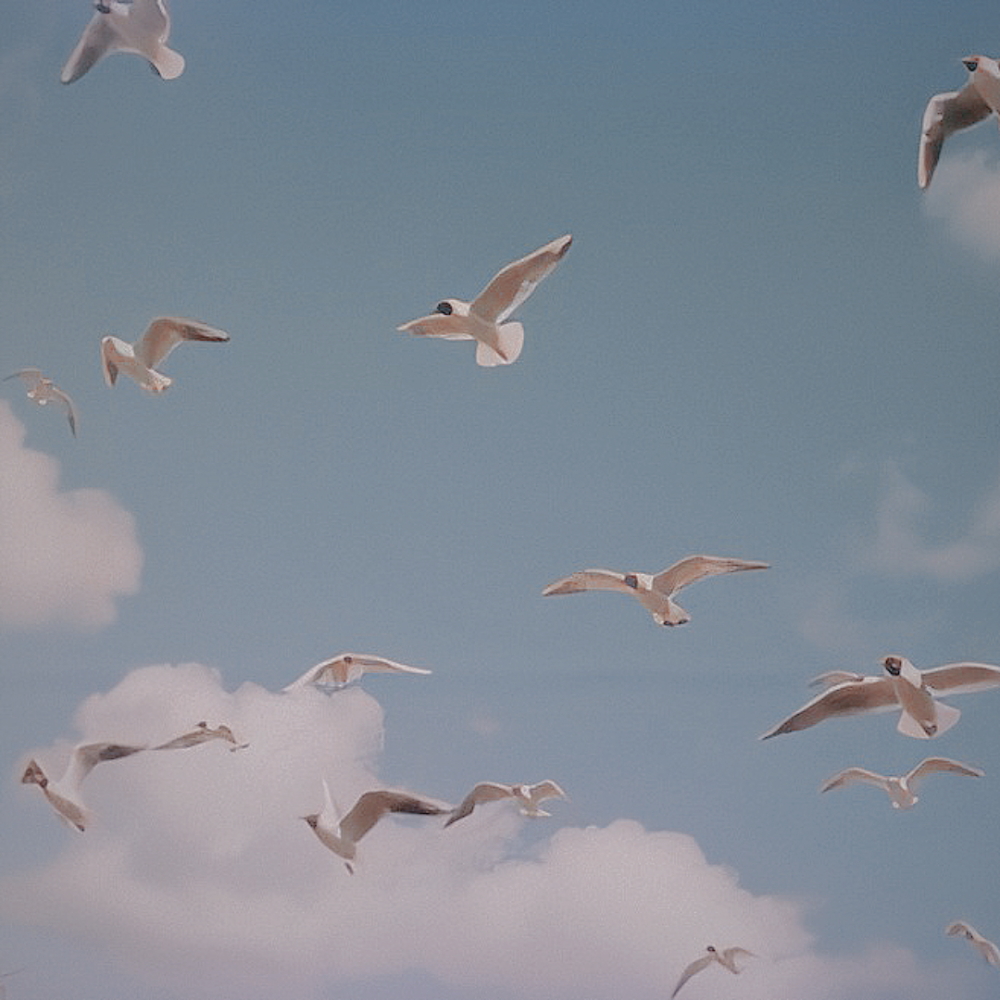 Птицы Эстетика