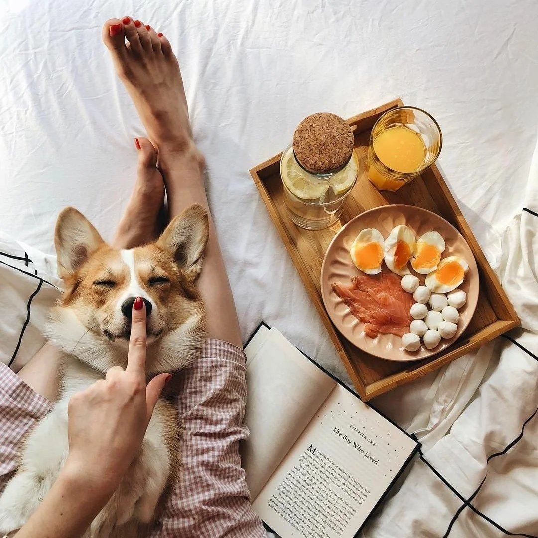 Многодетные животные