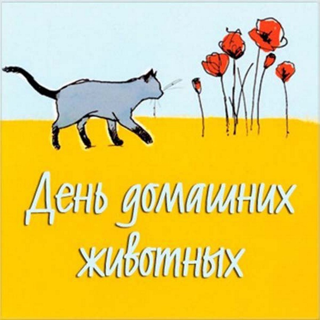 День животных