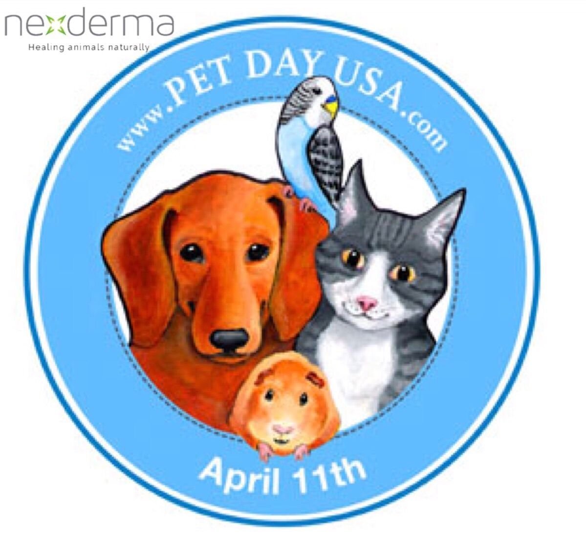 Days my pet. День домашних животных. Всемирный день домашних животных. День домашних животных 11 апреля. День домашних питомцев в детском саду.