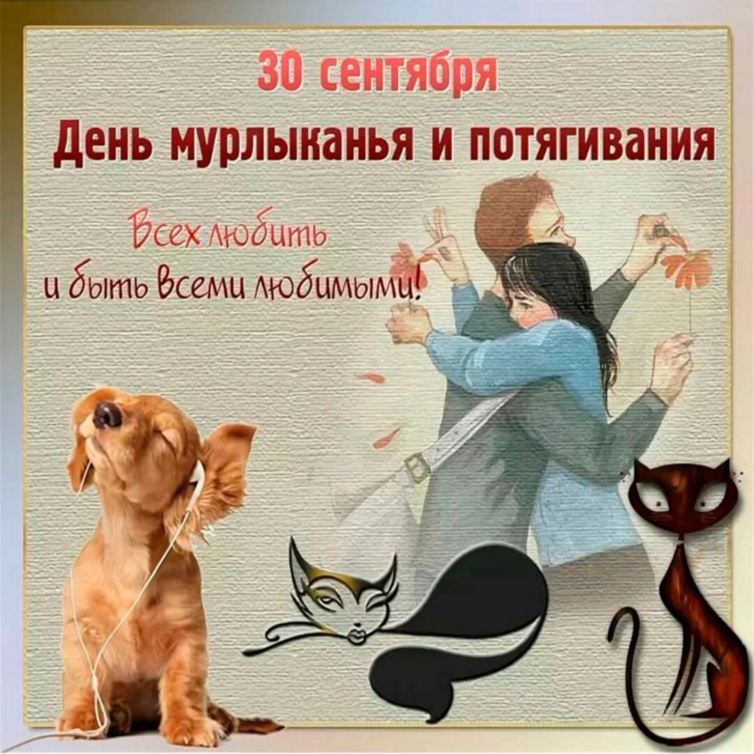 Много животных в квартире