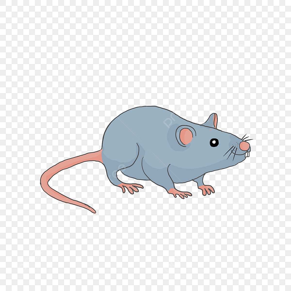 Мышь за компьютером