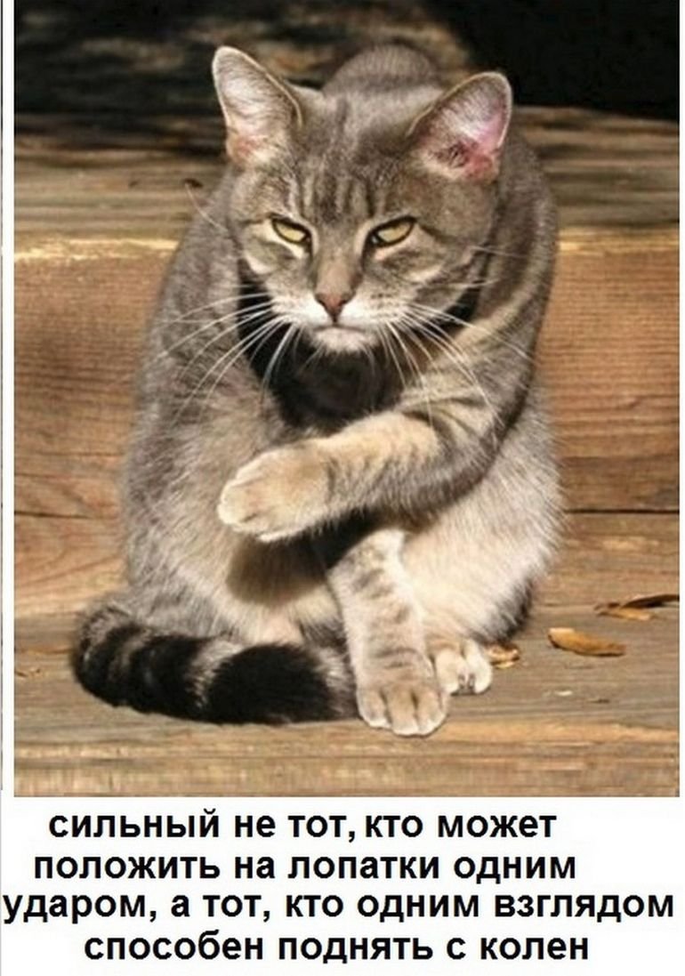 Молчание картинки