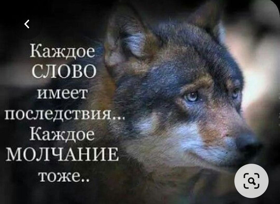 Цитаты про судьбу