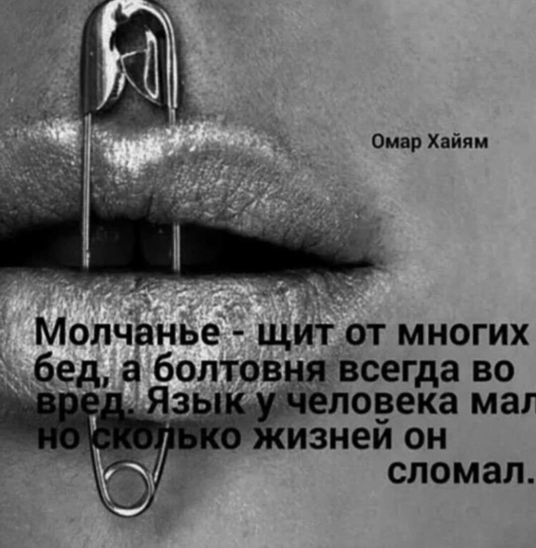 Тишина цитаты