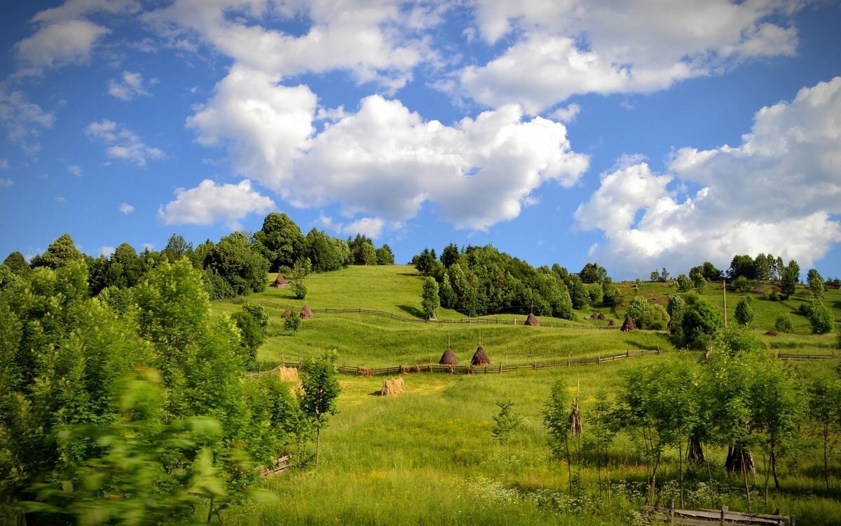 Луга Эстонии