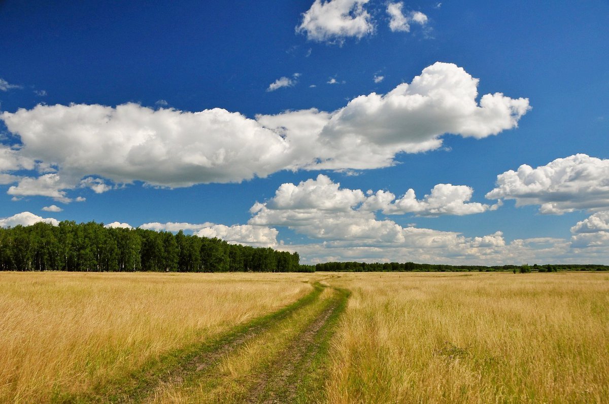 Пейзажи России