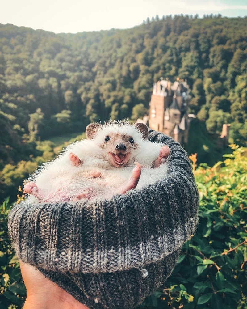 Соня Шишкова