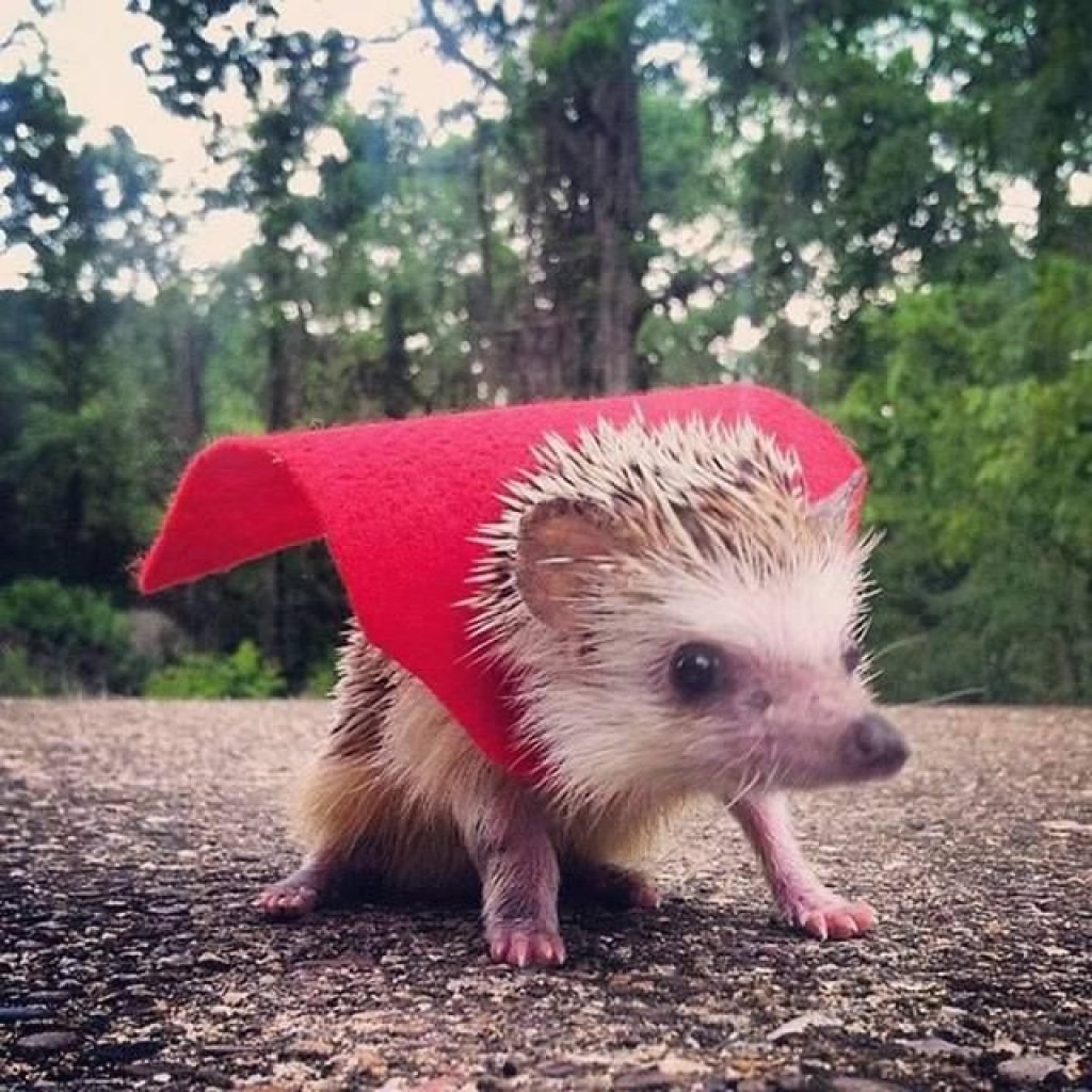 Прикольные авы