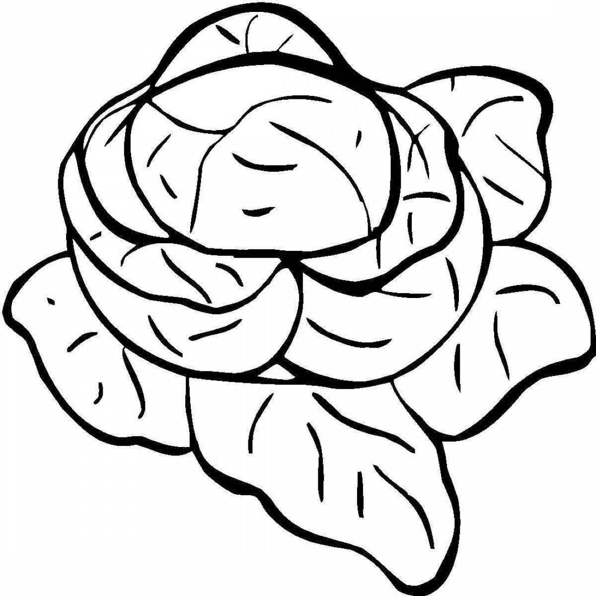 Капуста раскраска для детей